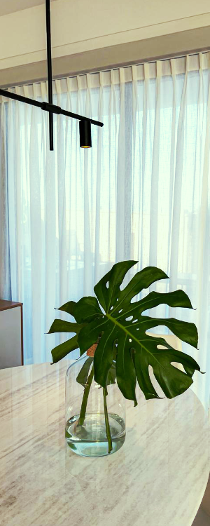 {{TITULO_DO_PRODUTO}}